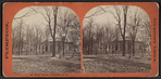 Street view, Lockport, N.Y.