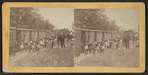 Men standing by railway cars.