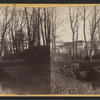 View of the stream running through the park and flowing into the creek Newport N. Y.