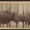 Island and fish pond in the park Newport N. Y..