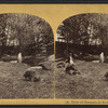 View of grounds at Newport, Herkimer Co., N. Y..