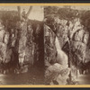 De La Vergne's Glen : Miniature Falls.