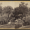 Trout pond, grotto & group.