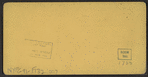 Upper Fall and R.R. Bridge, Portage, N.Y.
