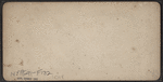 Glen Iris and R.R. Bridge, Portage, N.Y.