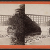 View of Portage Bridge and Horse Shoe Falls.