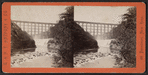 View of Portage Bridge and Horse Shoe Falls.