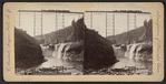 New Portage Bridge and Falls on the Line of the Erie Railway.