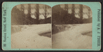 Falls & Bridge, Portage, N.Y.