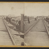 Railroad Bridge, Portage, N.Y.
