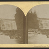 Genesee Falls, near Portage, N.Y.