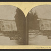 Genesee Falls, near Portage, N.Y.