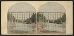 Bridge of the Buffalo and New York City Railroad.