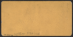 New Iron R.R. Bridge, Portage, N.Y. -- (first passenger train.)