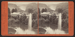Glen Iris, (Residence of Wm. P. Lechworth) Portage Bridge in distance.