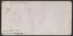 Bridge and First Fall of Genesee, Portage, N.Y.