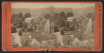 Glen Iris Park Mountain.