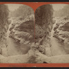 Gorge at Lower Falls.