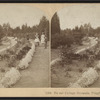 Vassar College grounds, Poughkeepsie, N.Y.