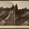 Vassar College grounds, Poughkeepsie, N.Y.