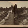 Vassar College grounds, Poughkeepsie, N.Y.
