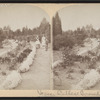 Vassar College grounds, Poughkeepsie, N.Y.
