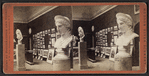 Art Gallery, Vassar College.