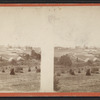 Vassar College, Poughkeepsie, N.Y.