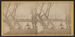 Men in boats, Poughkeepsie, N.Y.