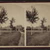 Vassar College.