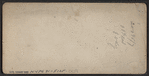 Prof. King's Baloon at Rochester, N.Y.
