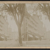North Fitzhugh Street, Rochester, N.Y.