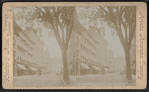 North Fitzhugh Street, Rochester, N.Y.