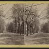 South Fitzhugh Street, Rochester, N.Y.