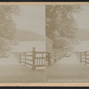 View at Glen House, Rochester, N.Y.