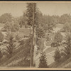 View from Oak Avenue.