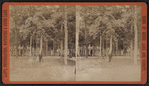 Grounds at Round Lake.