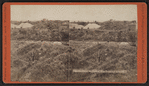 Palestine Park, Mt. Carmel, from Mountains of Gallilee.