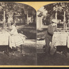 The Young chess players at Saratoga.
