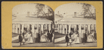 Congress Spring, Saratoga.
