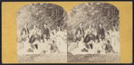 Group at Saratoga.