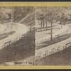 View at Congress Park, Saratoga.