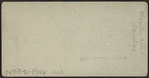 Clarendon Hotel Park, Saratoga, N.Y.