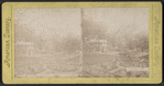 Clarendon Hotel Park, Saratoga, N.Y.