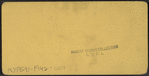 Congress Park & Hotel, Saratoga, N.Y.