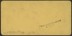 Grand Union Hotel, Broadway, Saratoga, N.Y.