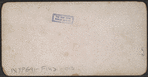 U.S. Hotel Cottages, Saratoga, N.Y.