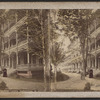 U.S. Hotel Cottages, Saratoga, N.Y.