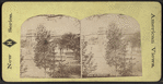 View at Saratoga.