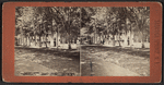 Clarendon Hotel Park, Saratoga, N.Y.